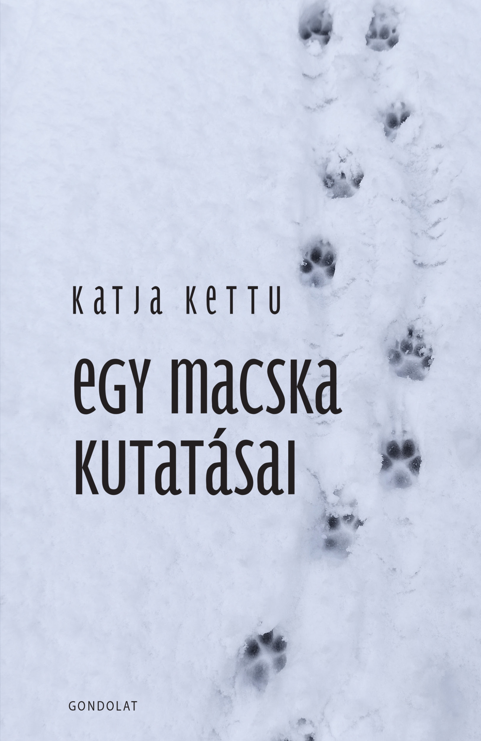 Egy macska kutatásai